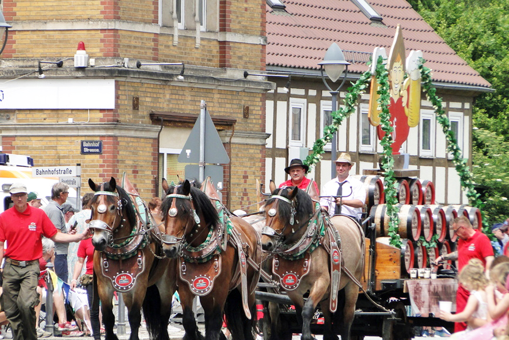 eibauer-Bierzug-5